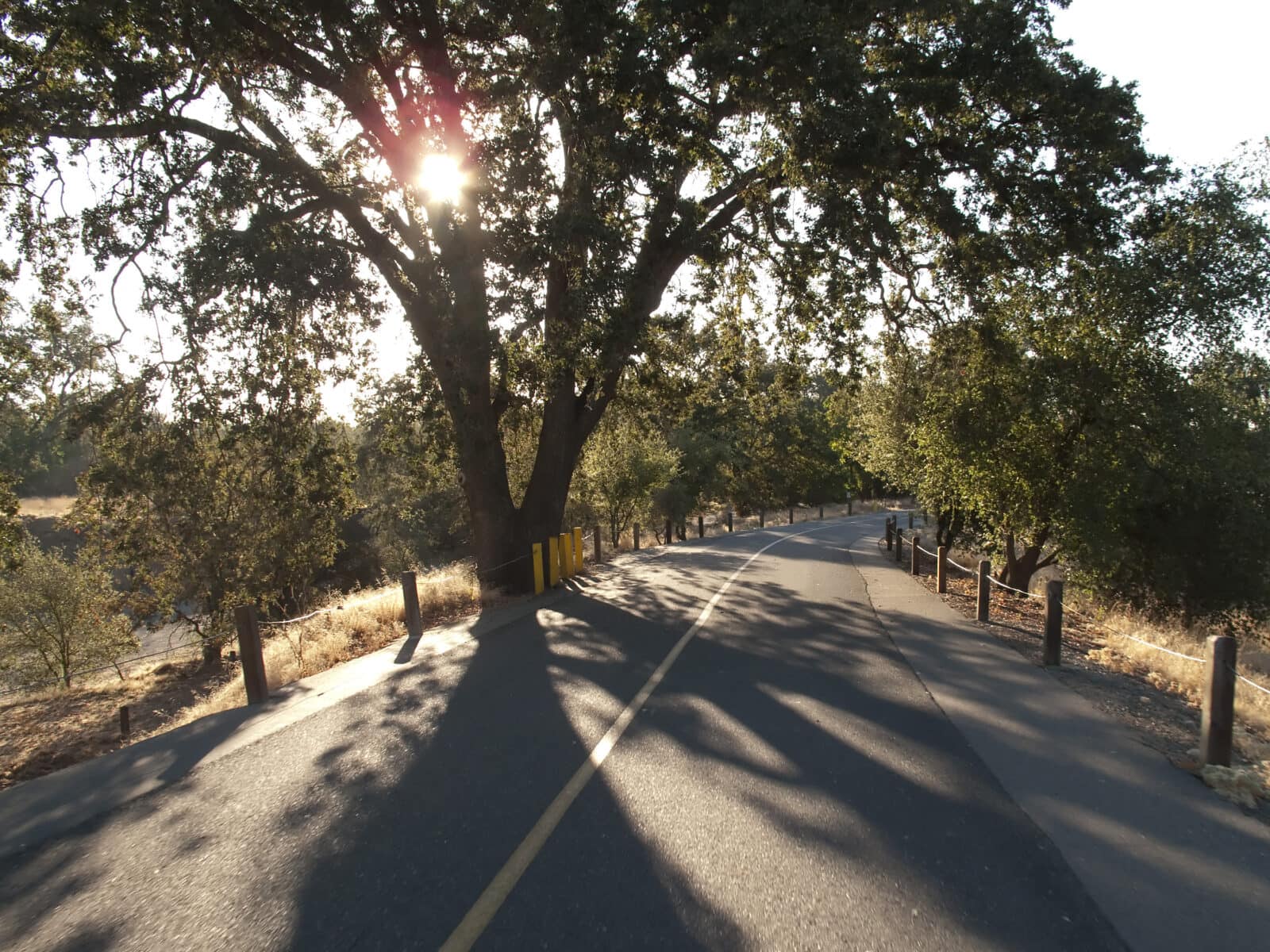 Bike the American River Trail in Sacramento - Pekex