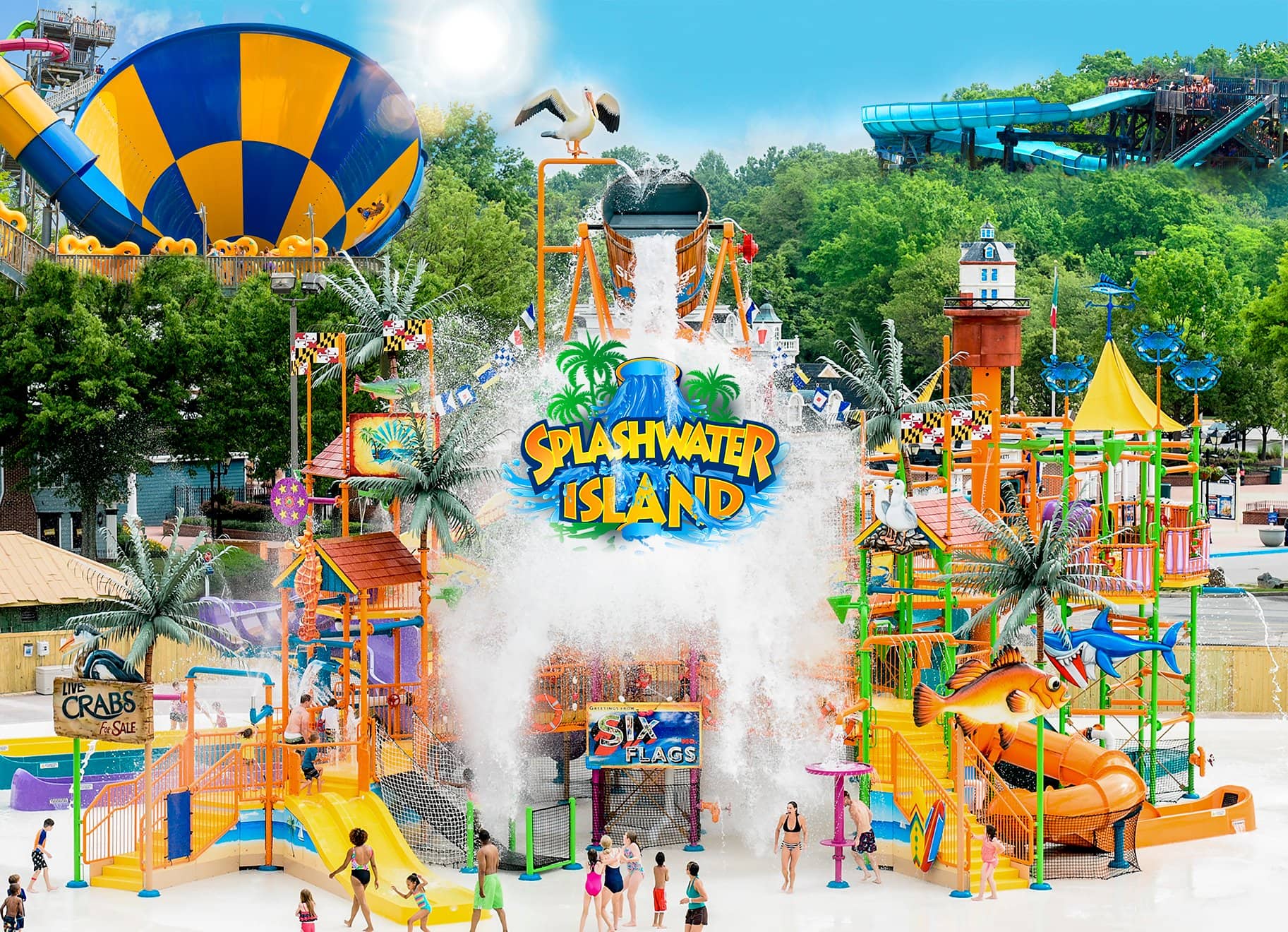 Enjoy the Thrills at Six Flags Hurricane Harbor and Discovery Kingdom