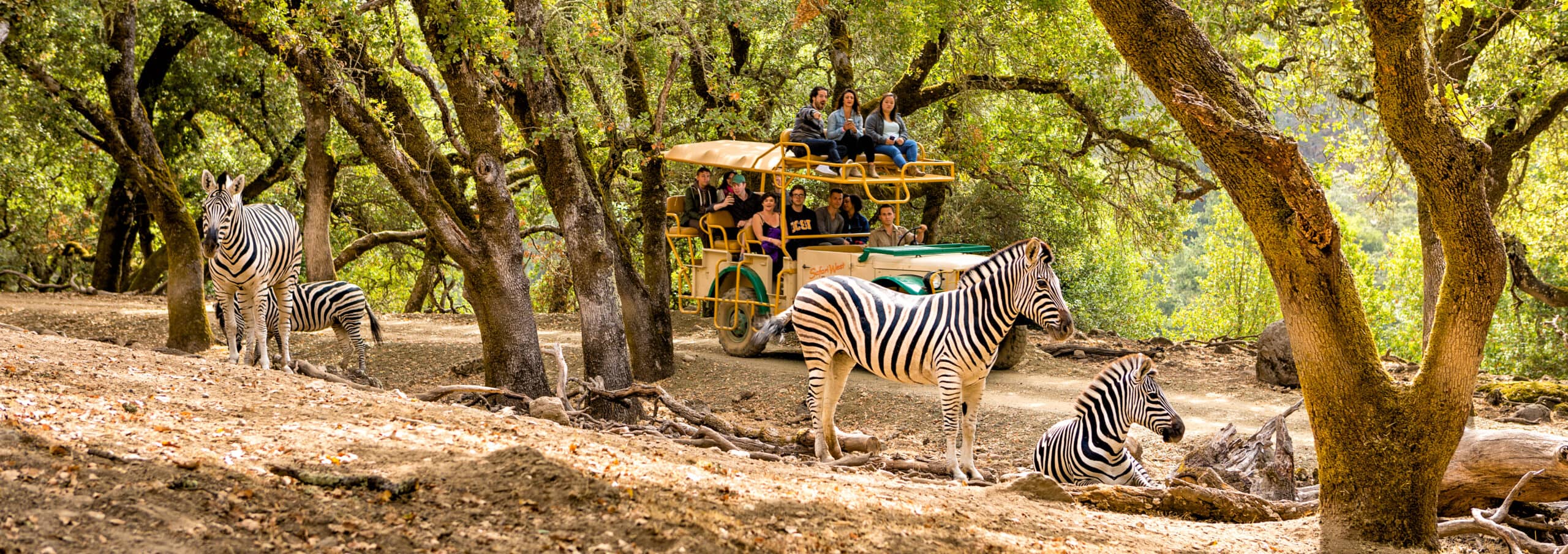 santa rosa wildlife safari